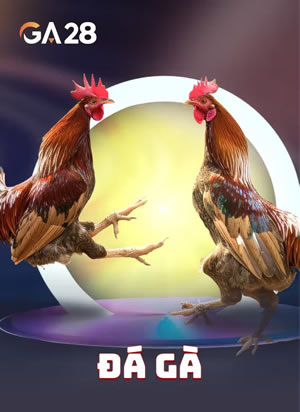 Rồng Hổ Phúc Vận